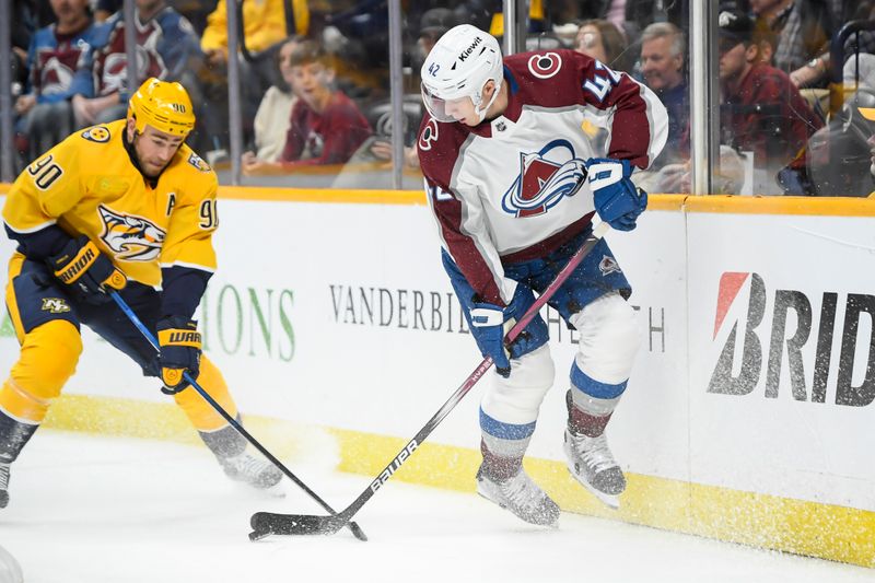 Nashville Predators vs Colorado Avalanche: Predators Look to Secure Victory in Home Game