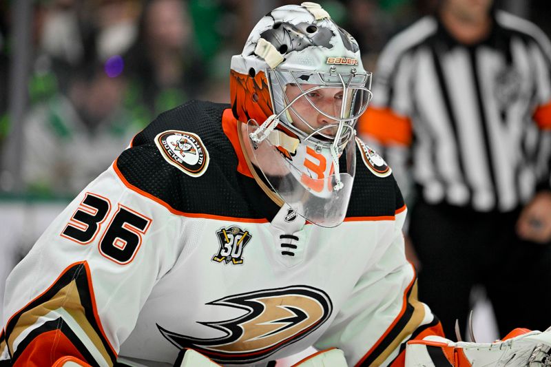 Jan 25, 2024; Dallas, Texas, USA; Anaheim Ducks goaltender John Gibson (36) faces the Dallas Stars attack during the second period at the American Airlines Center. Mandatory Credit: Jerome Miron-USA TODAY Sports