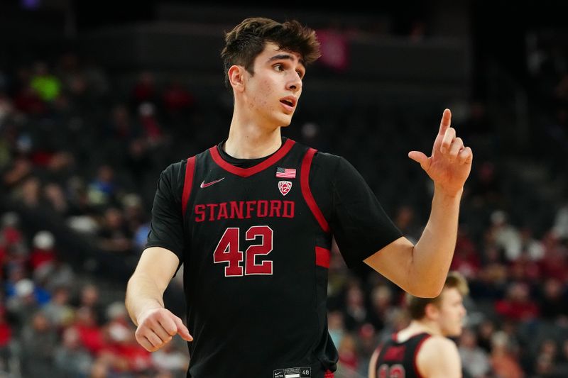 Mar 13, 2024; Las Vegas, NV, USA; Stanford Cardinal forward Maxime Raynaud (42) talks to a team mate on the bench before a California Bears free throw attempt during the first half at T-Mobile Arena. Mandatory Credit: Stephen R. Sylvanie-USA TODAY Sports