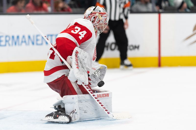 Jan 2, 2024; San Jose, California, USA; Detroit Red Wings goaltender Alex Lyon (34) stops the puck during the second period against the San Jose Sharks at SAP Center at San Jose. Mandatory Credit: Stan Szeto-USA TODAY Sports