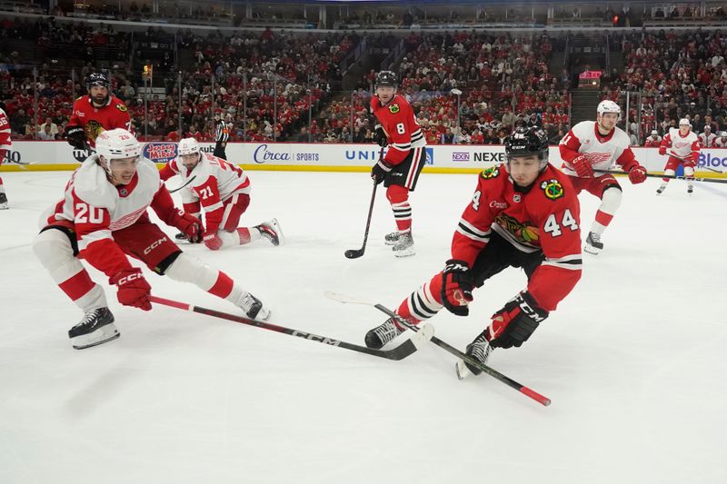 Nov 6, 2024; Chicago, Illinois, USA; Detroit Red Wings defenseman Albert Johansson (20) and Chicago Blackhawks defenseman Wyatt Kaiser (44) go for the puck during the third period at United Center. Mandatory Credit: David Banks-Imagn Images