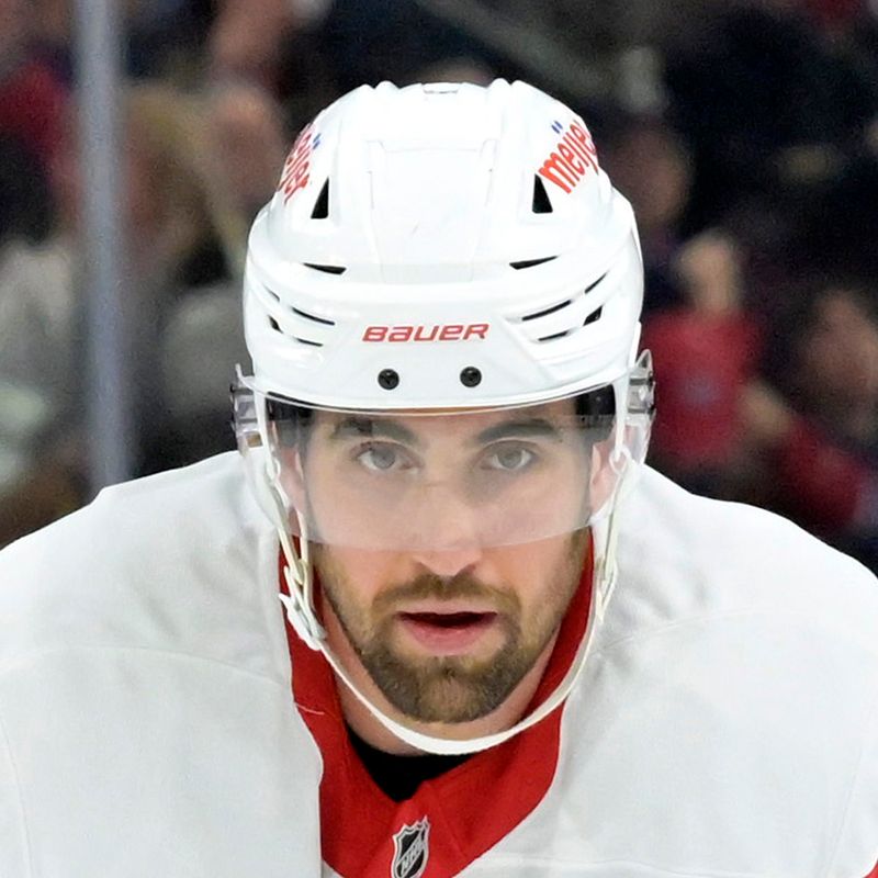 NHL Detroit Red Wings defense Erik Gustafsson