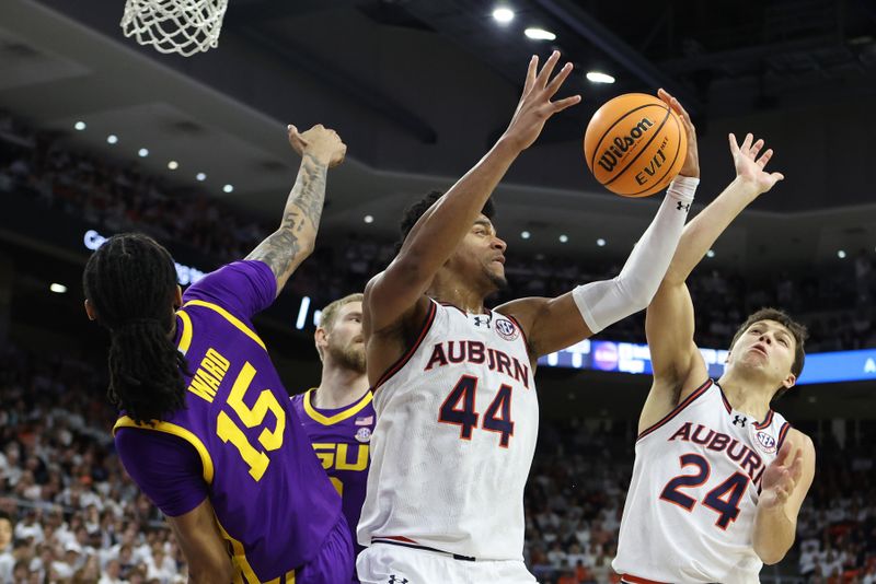 Jan 13, 2024; Auburn, Alabama, USA; Auburn Tigers center Dylan Cardwell (44) and guard Lior Berman (24) try to get the ball during the second half against the LSU Tigers at Neville Arena. Mandatory Credit: John Reed-USA TODAY Sports