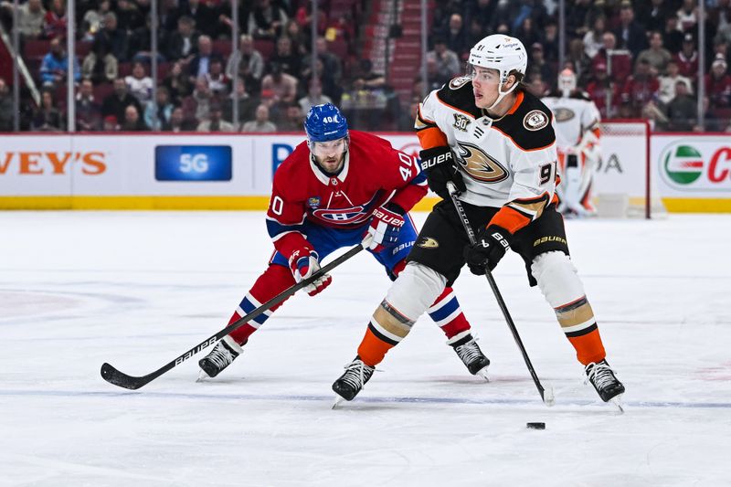 Feb 13, 2024; Montreal, Quebec, CAN; Anaheim Ducks center Leo Carlsson (91) plays the puck against Montreal Canadiens right wing Joel Armia (40) during the first period at Bell Centre. Mandatory Credit: David Kirouac-USA TODAY Sports