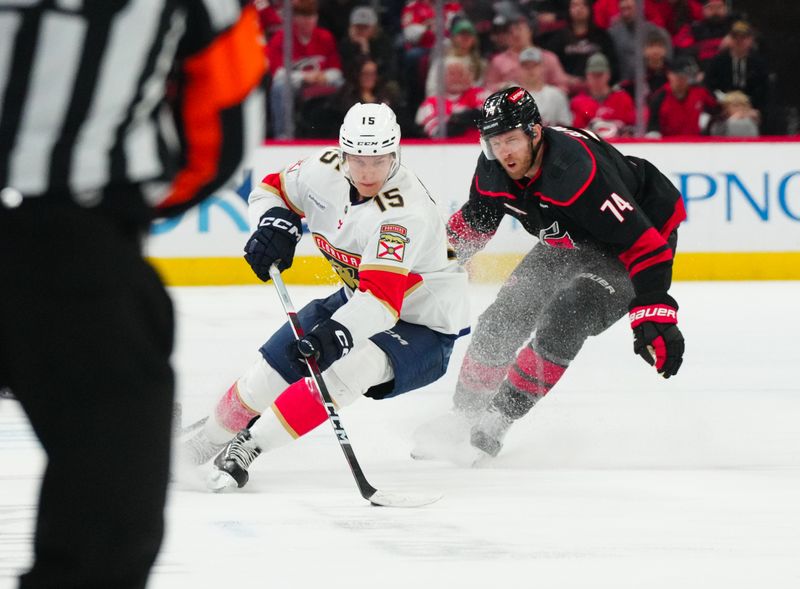 Mar 14, 2024; Raleigh, North Carolina, USA; Florida Panthers center Anton Lundell (15) holds onto the puck against Carolina Hurricanes defenseman Jaccob Slavin (74) during the third period at PNC Arena. Mandatory Credit: James Guillory-USA TODAY Sports