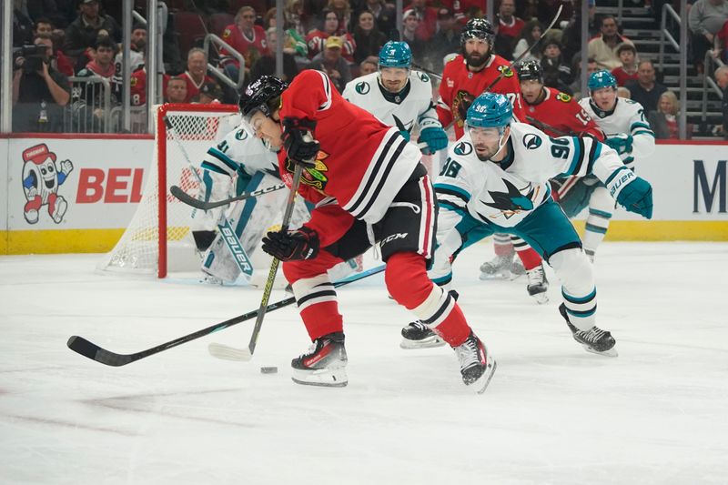 Oct 17, 2024; Chicago, Illinois, USA; San Jose Sharks defenseman Jake Walman (96) defends Chicago Blackhawks center Connor Bedard (98) during the first period at United Center. Mandatory Credit: David Banks-Imagn Images