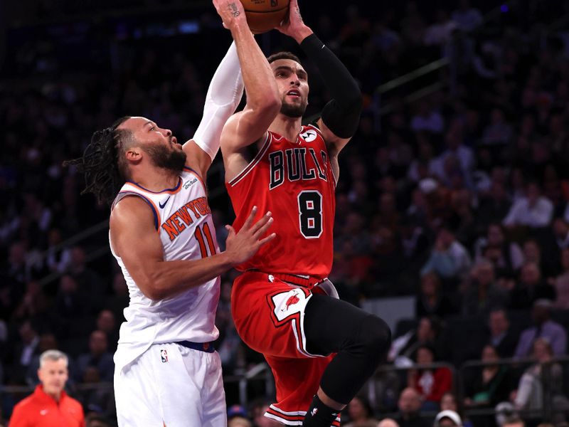 NEW YORK, NEW YORK - NOVEMBER 13: Zach LaVine #8 of the Chicago Bulls shoots the ball past Jalen Brunson #11 of the New York Knicks during the third quarter at Madison Square Garden on November 13, 2024 in New York City. NOTE TO USER: User expressly acknowledges and agrees that, by downloading and or using this photograph, User is consenting to the terms and conditions of the Getty Images License Agreement. (Photo by Elsa/Getty Images)