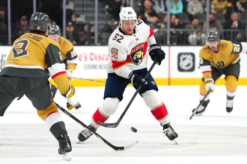 Jan 4, 2024; Las Vegas, Nevada, USA; Florida Panthers defenseman Brandon Montour (62) skates against the Vegas Golden Knights during the first period at T-Mobile Arena. Mandatory Credit: Stephen R. Sylvanie-USA TODAY Sports