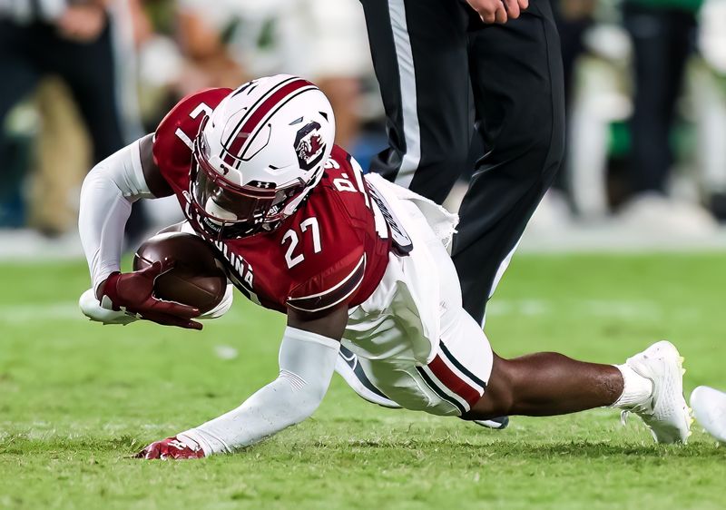 Sep 24, 2022; Columbia, South Carolina, USA; South Carolina Gamecocks defensive back DQ Smith (27) makes a diving interception against the Charlotte 49ers in the second half at Williams-Brice Stadium. Mandatory Credit: Jeff Blake-USA TODAY Sports