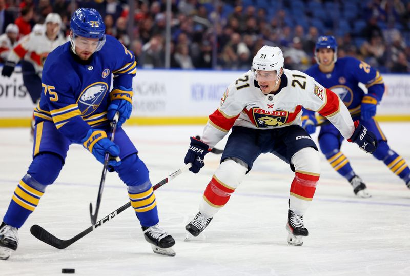 Feb 15, 2024; Buffalo, New York, USA;  Florida Panthers center Nick Cousins (21) watches as Buffalo Sabres defenseman Connor Clifton (75) looks to control the puck during the first period at KeyBank Center. Mandatory Credit: Timothy T. Ludwig-USA TODAY Sports