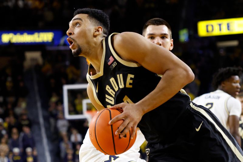 Feb 11, 2025; Ann Arbor, Michigan, USA;  Purdue Boilermakers forward Trey Kaufman-Renn (4) dribbles in the second half against the Michigan Wolverines at Crisler Center. Mandatory Credit: Rick Osentoski-Imagn Images