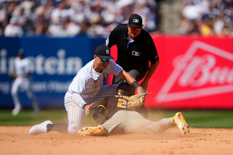 Padres Set to Host Yankees in a Duel Under the Lights at PETCO Park