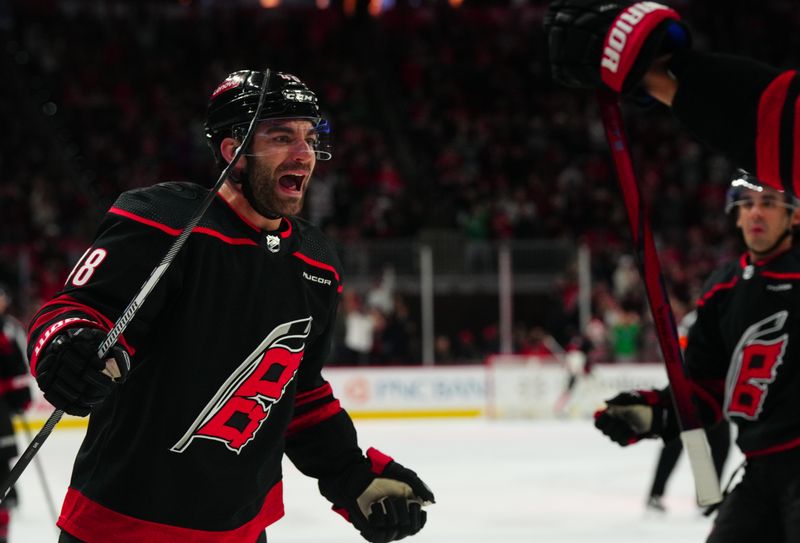 Mar 10, 2024; Raleigh, North Carolina, USA;  Carolina Hurricanes left wing Jordan Martinook (48) celebrates his goal against the Calgary Flames during the first period at PNC Arena. Mandatory Credit: James Guillory-USA TODAY Sports