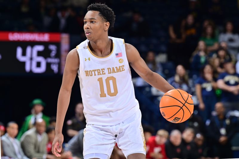 Jan 28, 2023; South Bend, Indiana, USA; Notre Dame Fighting Irish guard Marcus Hammond (10) dribbles the ball against the Louisville Cardinals in the second half at the Purcell Pavilion. Mandatory Credit: Matt Cashore-USA TODAY Sports