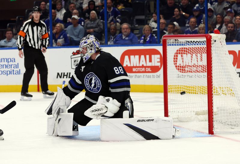 Nov 30, 2024; Tampa, Florida, USA; Toronto Maple Leafs defenseman Chris Tanev (8) (not pictured) scored a goal on Tampa Bay Lightning goaltender Andrei Vasilevskiy (88) during the second period at Amalie Arena. Mandatory Credit: Kim Klement Neitzel-Imagn Images