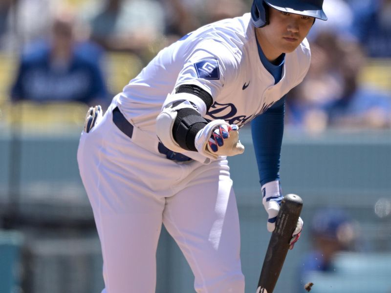 Apr 17, 2024; Los Angeles, California, USA; Los Angeles Dodgers designated hitter player Shohei Ohtani (17) cleans dirt off the plate in the first inning against the Washington Nationals at Dodger Stadium. Mandatory Credit: Jayne Kamin-Oncea-USA TODAY Sports