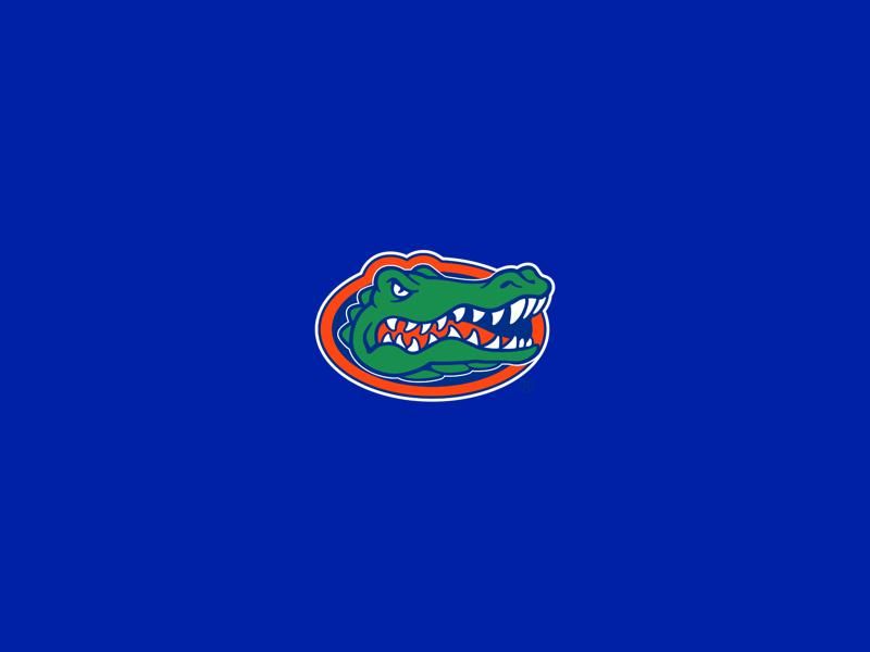 Clash at Exactech Arena: Florida Gators to Host Quinnipiac Bobcats in Men's Basketball Showdown