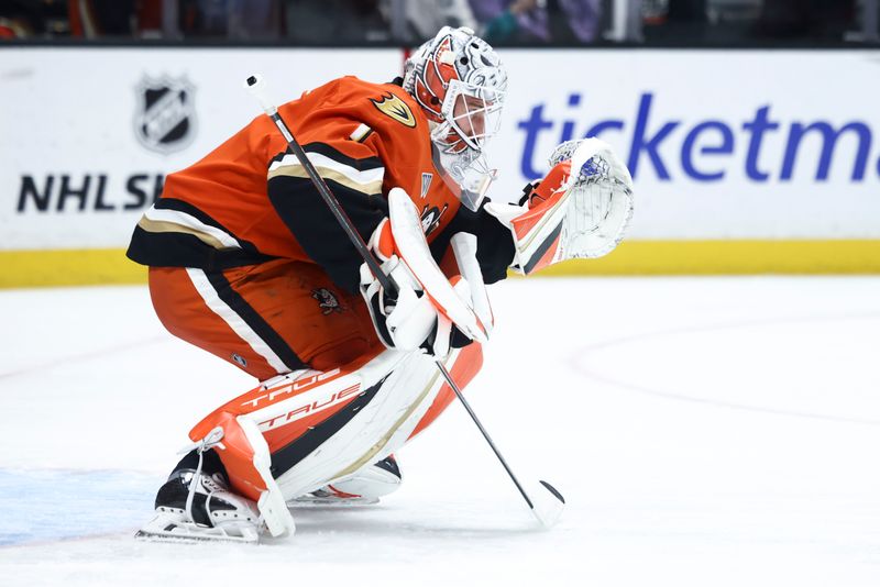 Nov 13, 2024; Anaheim, California, USA; Anaheim Ducks goaltender Lukas Dostal (1) looks on during warmups before a hockey game against the Vegas Golden Knights at Honda Center. Mandatory Credit: Jessica Alcheh-Imagn Images