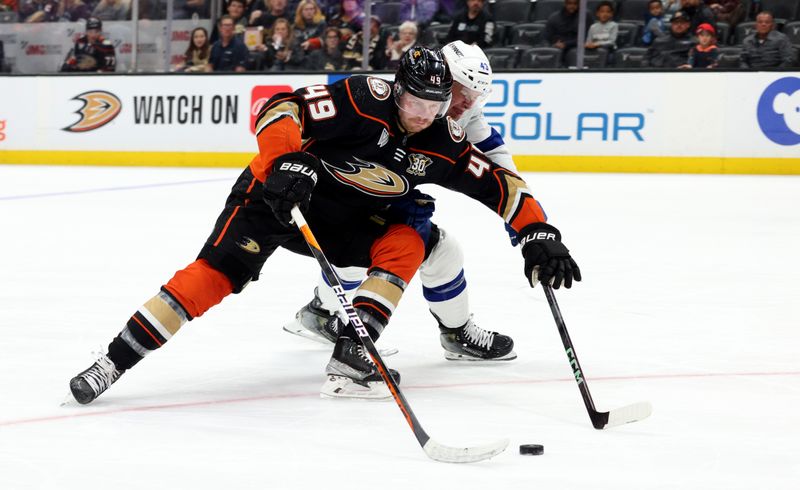 Mar 24, 2024; Anaheim, California, USA; Anaheim Ducks left wing Max Jones (49) keeps the puck from Tampa Bay Lightning defenseman Darren Raddysh (43) during the second period at Honda Center. Mandatory Credit: Jason Parkhurst-USA TODAY Sports