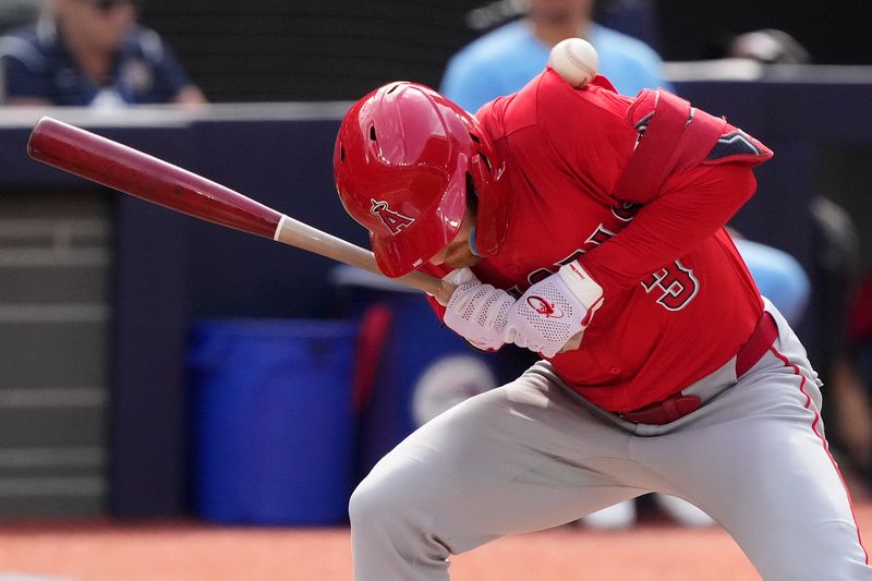 Aug 24, 2024; Toronto, Ontario, CAN; Los Angeles Angels left fielder Taylor Ward (3) gets hit by pitch from Toronto Blue Jays starting pitcher Bowden Francis (not pictured)during the  third inning at Rogers Centre. Mandatory Credit: John E. Sokolowski-USA TODAY Sports