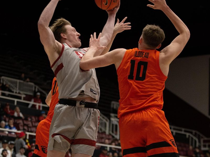 Jan 19, 2023; Stanford, California, USA; Stanford Cardinal forward James Keefe (22) pulls down a rebound in front of Oregon State Beavers forward Tyler Bilodeau (10) during the first half at Maples Pavilion. Mandatory Credit: D. Ross Cameron-USA TODAY Sports