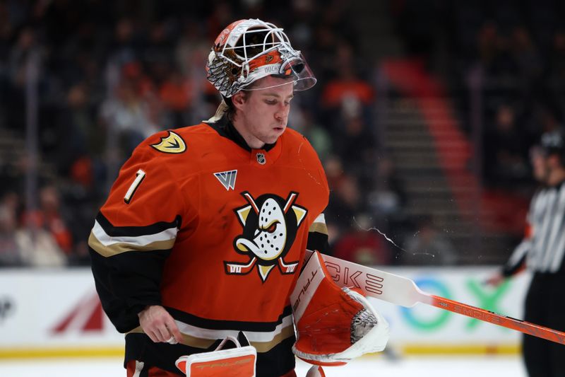 Jan 2, 2026; Anaheim, California, USA;  Anaheim Ducks goaltender Lukas Dostal (1) spits water onto the ice during a stop in play against the Minnesota Wild in the third period at Honda Center. Mandatory Credit: Kiyoshi Mio-Imagn Images