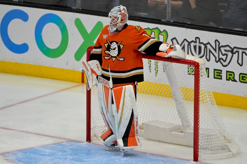 Nov 5, 2024; Anaheim, California, USA; Anaheim Ducks goaltender Lukas Dostal (1) stands in goal after allowing the third score of the game against the Vancouver Canucks at Honda Center. Mandatory Credit: Jayne Kamin-Oncea-Imagn Images