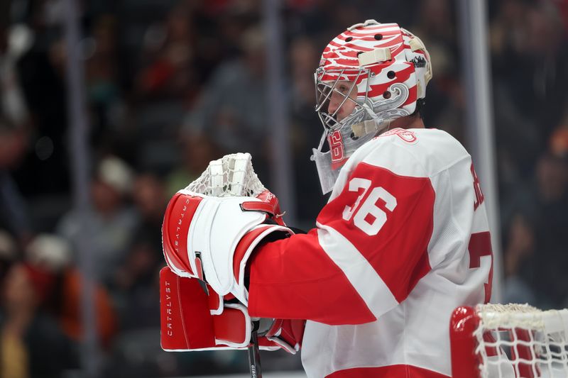 Oct 31, 2025; Anaheim, California, USA;  Detroit Red Wings goaltender John Gibson (36) looks on during the second period against the Anaheim Ducks at Honda Center. Mandatory Credit: Kiyoshi Mio-Imagn Images