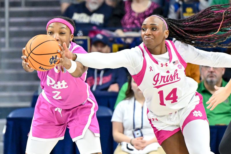 Feb 4, 2024; South Bend, Indiana, USA; Notre Dame Fighting Irish guard KK Bransford (14) attempts to knock the ball away from Pittsburgh Panthers forward Liatu King (2) in the second half at the Purcell Pavilion. Mandatory Credit: Matt Cashore-USA TODAY Sports