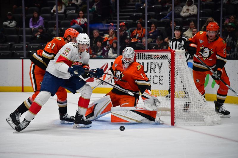 Jan 21, 2025; Anaheim, California, USA; Anaheim Ducks goaltender Lukas Dostal (1) defends the goal against Florida Panthers left wing Tomas Nosek (92) during the third period at Honda Center. Mandatory Credit: Gary A. Vasquez-Imagn Images