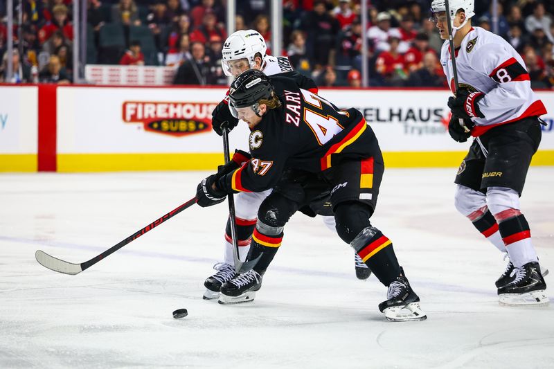 Mar 5, 2026; Calgary, Alberta, CAN; Calgary Flames center Connor Zary (47) and Ottawa Senators defenseman Tyler Kleven (43) battle for the puck during the second period at Scotiabank Saddledome. Mandatory Credit: Sergei Belski-Imagn Images