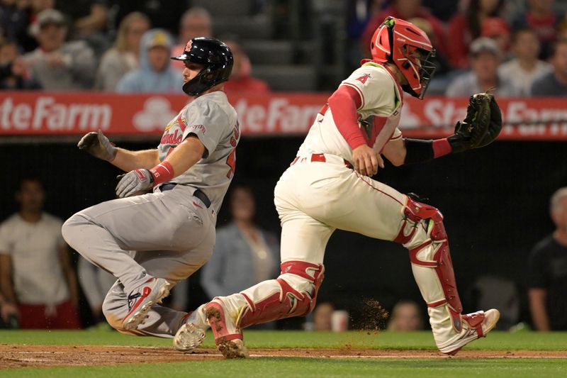 May 13, 2024; Anaheim, California, USA;  St. Louis Cardinals first baseman Paul Goldschmidt (46) scores past Los Angeles Angels catcher Logan O'Hoppe (14) in the seventh inning at Angel Stadium. Mandatory Credit: Jayne Kamin-Oncea-USA TODAY Sports