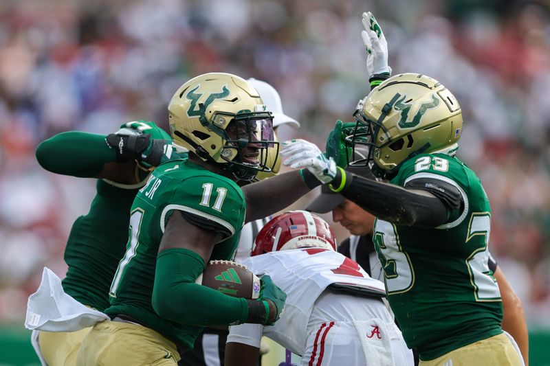 Sep 16, 2023; Tampa, Florida, USA;  South Florida Bulls defensive end D.J. Harris (11)  recovers a fumble Alabama Crimson Tide in the first quarter at Raymond James Stadium. Mandatory Credit: Nathan Ray Seebeck-USA TODAY Sports