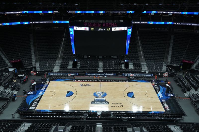 Mar 15, 2024; Las Vegas, NV, USA; A general overall view of an empty T-Mobile Arena. Mandatory Credit: Kirby Lee-USA TODAY Sports