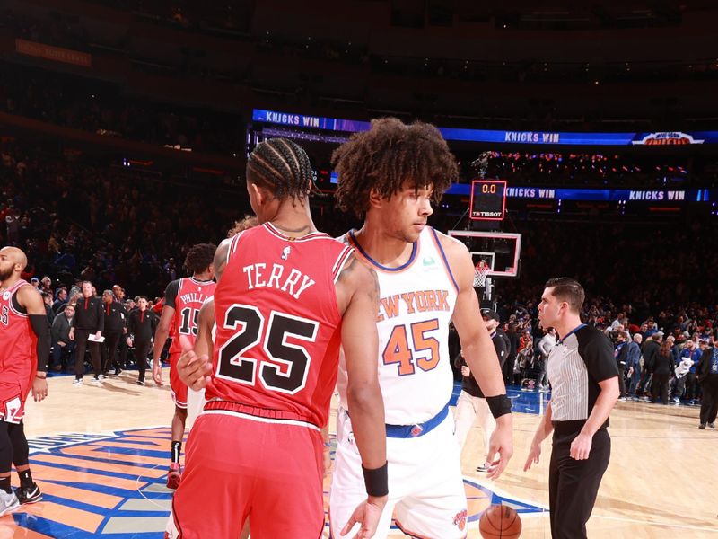 NEW YORK, NY - JANUARY 3: Jericho Sims #45 of the New York Knicks greets Dalen Terry #25 of the Chicago Bulls after the game on January 3, 2024 at Madison Square Garden in New York City, New York.  NOTE TO USER: User expressly acknowledges and agrees that, by downloading and or using this photograph, User is consenting to the terms and conditions of the Getty Images License Agreement. Mandatory Copyright Notice: Copyright 2024 NBAE  (Photo by Nathaniel S. Butler/NBAE via Getty Images)