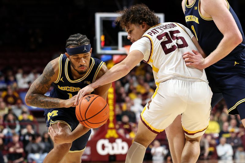 Jan 16, 2025; Minneapolis, Minnesota, USA; Minnesota Golden Gophers guard Lu'Cye Patterson (25) steals the ball from Michigan Wolverines guard Roddy Gayle Jr. (11) during the second half at Williams Arena. Mandatory Credit: Matt Krohn-Imagn Images