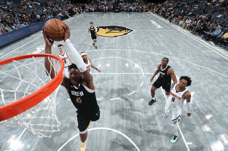 MEMPHIS, TN - APRIL 14:  GG Jackson #45 of the Memphis Grizzlies dunks the ball during the game against the Denver Nuggets on April 14, 2024 at FedExForum in Memphis, Tennessee. NOTE TO USER: User expressly acknowledges and agrees that, by downloading and or using this photograph, User is consenting to the terms and conditions of the Getty Images License Agreement. Mandatory Copyright Notice: Copyright 2024 NBAE (Photo by Joe Murphy/NBAE via Getty Images)