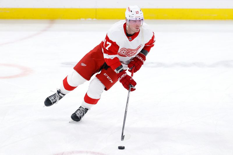 Dec 20, 2023; Winnipeg, Manitoba, CAN; Detroit Red Wings forward Daniel Sprong (17) warms up before a game against the Winnipeg Jets at Canada Life Centre. Mandatory Credit: James Carey Lauder-USA TODAY Sports