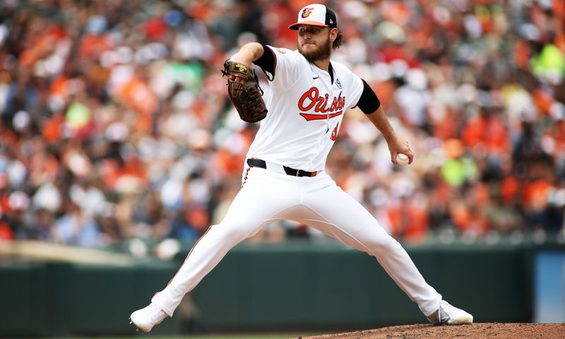 Jun 2, 2024; Baltimore, Maryland, USA; Baltimore Orioles pitcher Cole Irvin (19) throws during the first inning against the Tampa Bay Rays at Oriole Park at Camden Yards. Mandatory Credit: Daniel Kucin Jr.-USA TODAY Sports