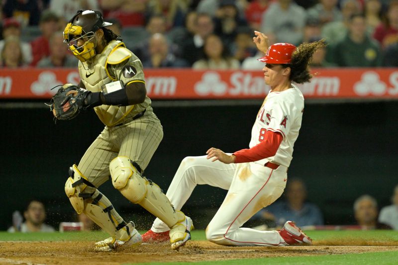Jun 4, 2024; Anaheim, California, USA;  San Diego Padres catcher Luis Campusano (12) tags the plate as Los Angeles Angels third baseman Cole Tucker (8) is out at home in the seventh inning at Angel Stadium. Mandatory Credit: Jayne Kamin-Oncea-USA TODAY Sports