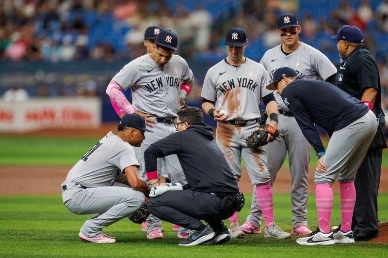 May 12, 2024; St. Petersburg, Florida, USA;  New York Yankees pitcher Luis Gil (81) is attended to by trainers after being hit by a ball against the Tampa Bay Rays in the third inning at Tropicana Field. Mandatory Credit: Nathan Ray Seebeck-USA TODAY Sports