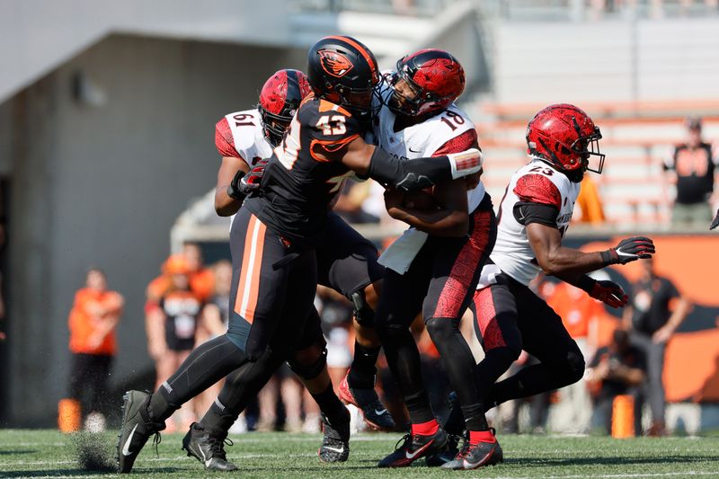 Sep 16, 2023; Corvallis, Oregon, USA; Oregon State Beavers defensive lineman Takari Hickle (43) sacks San Diego State Aztecs quarterback Jalen Mayden (18) during the second half at Reser Stadium. Mandatory Credit: Soobum Im-USA TODAY Sports