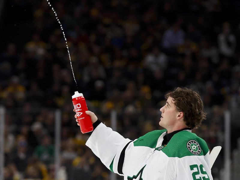 Feb 19, 2024; Boston, Massachusetts, USA; Dallas Stars goaltender Jake Ottinger (29) squirts a water bottle during a time out during the first period against the Boston Bruins at TD Garden. Mandatory Credit: Winslow Townson-USA TODAY Sports