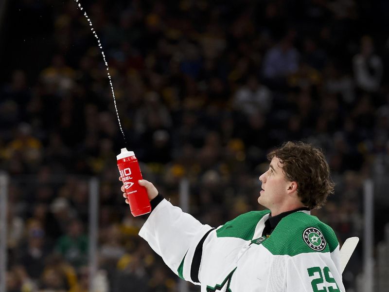 Feb 19, 2024; Boston, Massachusetts, USA; Dallas Stars goaltender Jake Ottinger (29) squirts a water bottle during a time out during the first period against the Boston Bruins at TD Garden. Mandatory Credit: Winslow Townson-USA TODAY Sports