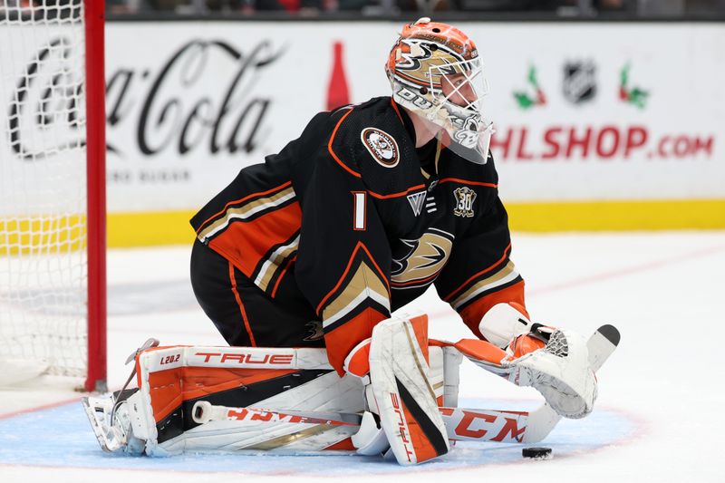 Dec 21, 2023; Anaheim, California, USA;  Anaheim Ducks goaltender Lukas Dostal (1) stops the puck during the third period against the Calgary Flames at Honda Center. Mandatory Credit: Kiyoshi Mio-USA TODAY Sports