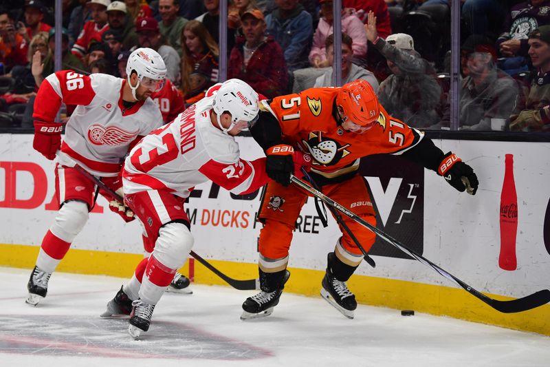 Nov 15, 2024; Anaheim, California, USA; Detroit Red Wings defenseman Erik Gustafsson (56) and left wing Lucas Raymond (23) play for the puck against Anaheim Ducks defenseman Olen Zellweger (51) during the second period at Honda Center. Mandatory Credit: Gary A. Vasquez-Imagn Images