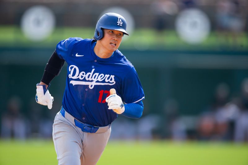 Mar 6, 2024; Phoenix, Arizona, USA; Los Angeles Dodgers designated hitter Shohei Ohtani (17) against the Chicago White Sox during a spring training baseball game at Camelback Ranch-Glendale. Mandatory Credit: Mark J. Rebilas-USA TODAY Sports