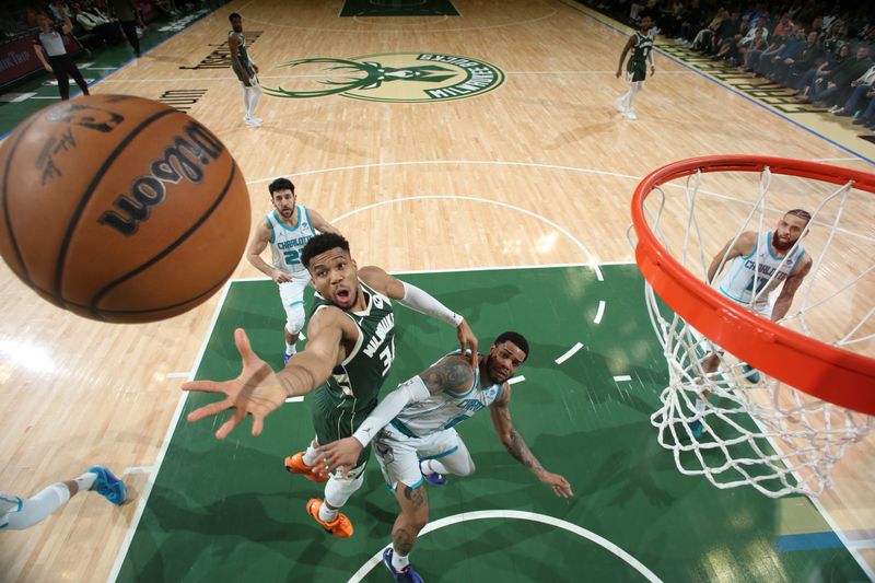 MILWAUKEE, WI - FEBRUARY 27:  Giannis Antetokounmpo #34 of the Milwaukee Bucks rebounds the ball during the game against the Charlotte Hornets on February 27, 2024 at the Fiserv Forum Center in Milwaukee, Wisconsin. NOTE TO USER: User expressly acknowledges and agrees that, by downloading and or using this Photograph, user is consenting to the terms and conditions of the Getty Images License Agreement. Mandatory Copyright Notice: Copyright 2024 NBAE (Photo by Gary Dineen/NBAE via Getty Images).