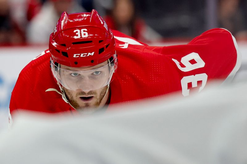 Jan 31, 2024; Detroit, Michigan, USA;  Detroit Red Wings right wing Christian Fischer (36) gets set during a face off in the second period against the Ottawa Senators at Little Caesars Arena. Mandatory Credit: Rick Osentoski-USA TODAY Sports