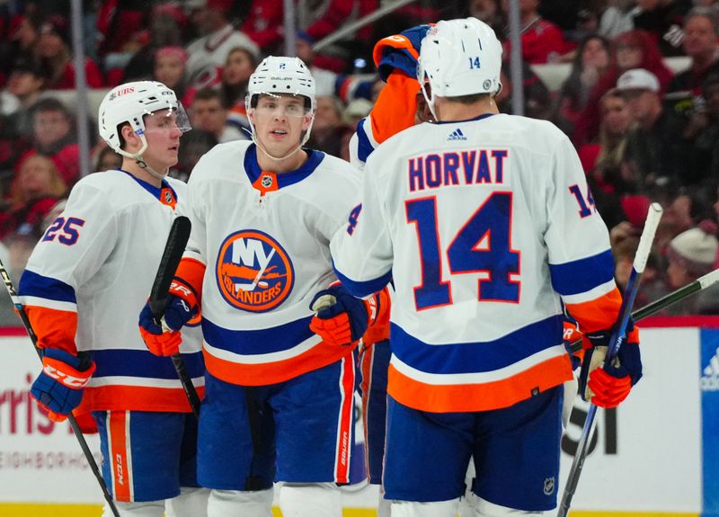 Dec 23, 2023; Raleigh, North Carolina, USA; New York Islanders defensemen Mike Reilly (2) celebrates his goal with defenseman Sebastian Aho (25) and center Bo Horvat (14) against the Carolina Hurricanes during the second period at PNC Arena. Mandatory Credit: James Guillory-USA TODAY Sports